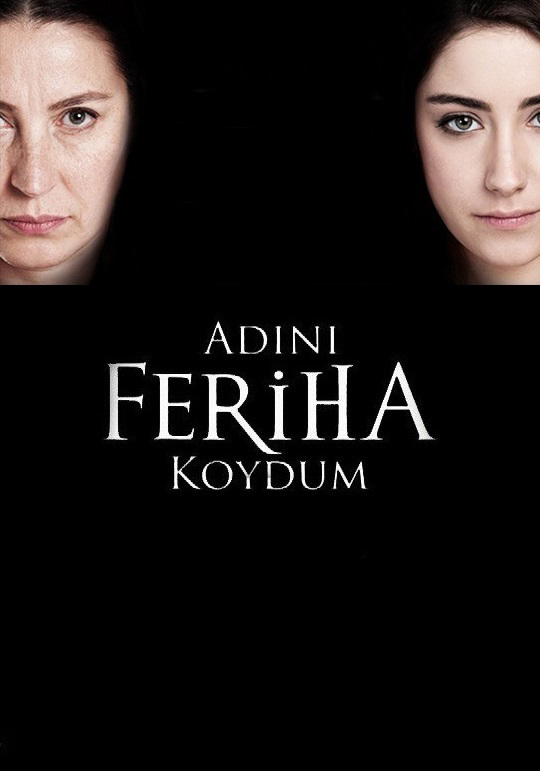 دانلود سریال Adini Feriha Koydum