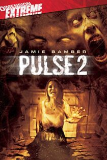 دانلود فیلم Pulse 2: Afterlife 2008