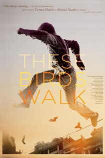 دانلود فیلم These Birds Walk 2012